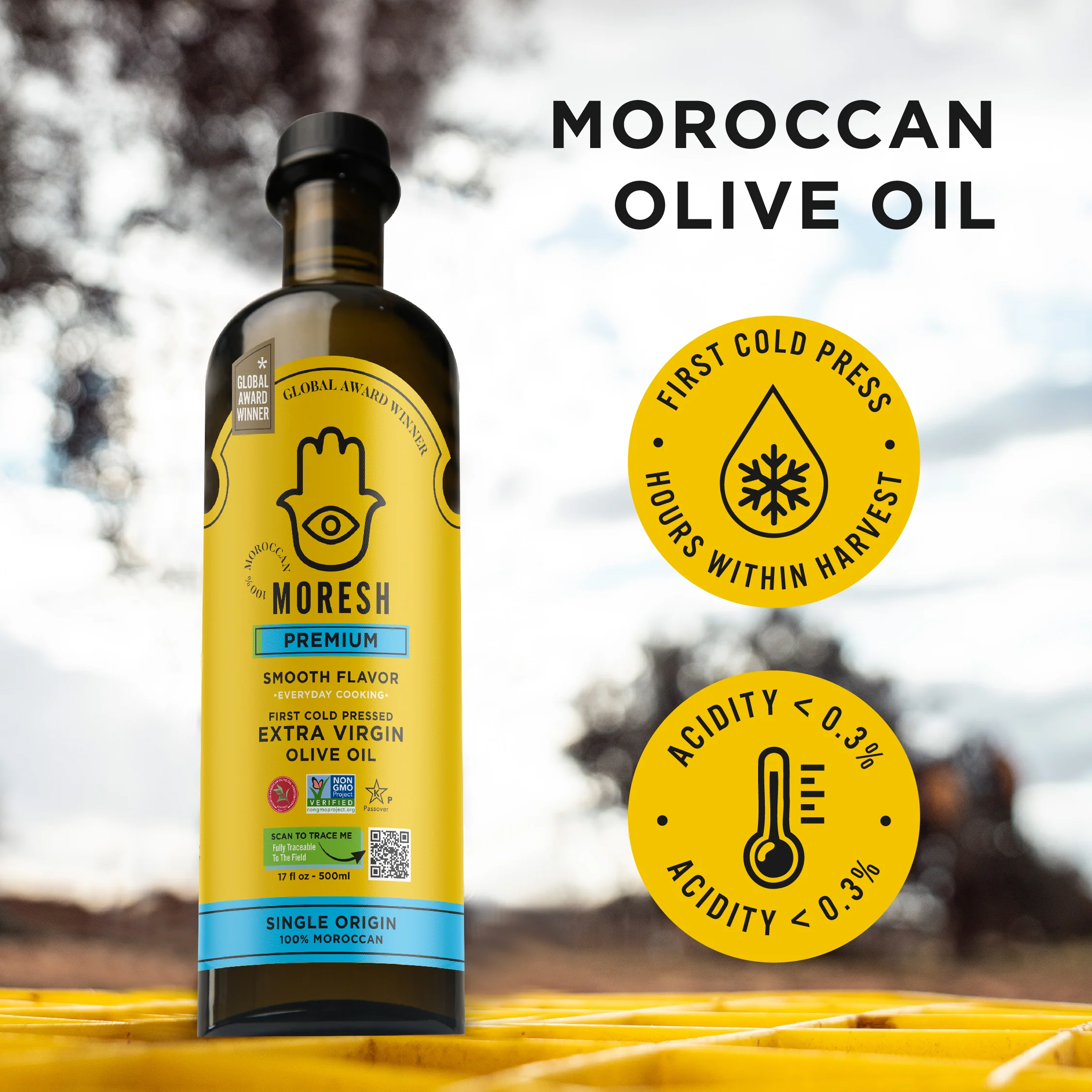 Moresh Moroccan Extra Virgin Olive Oil - Image 5