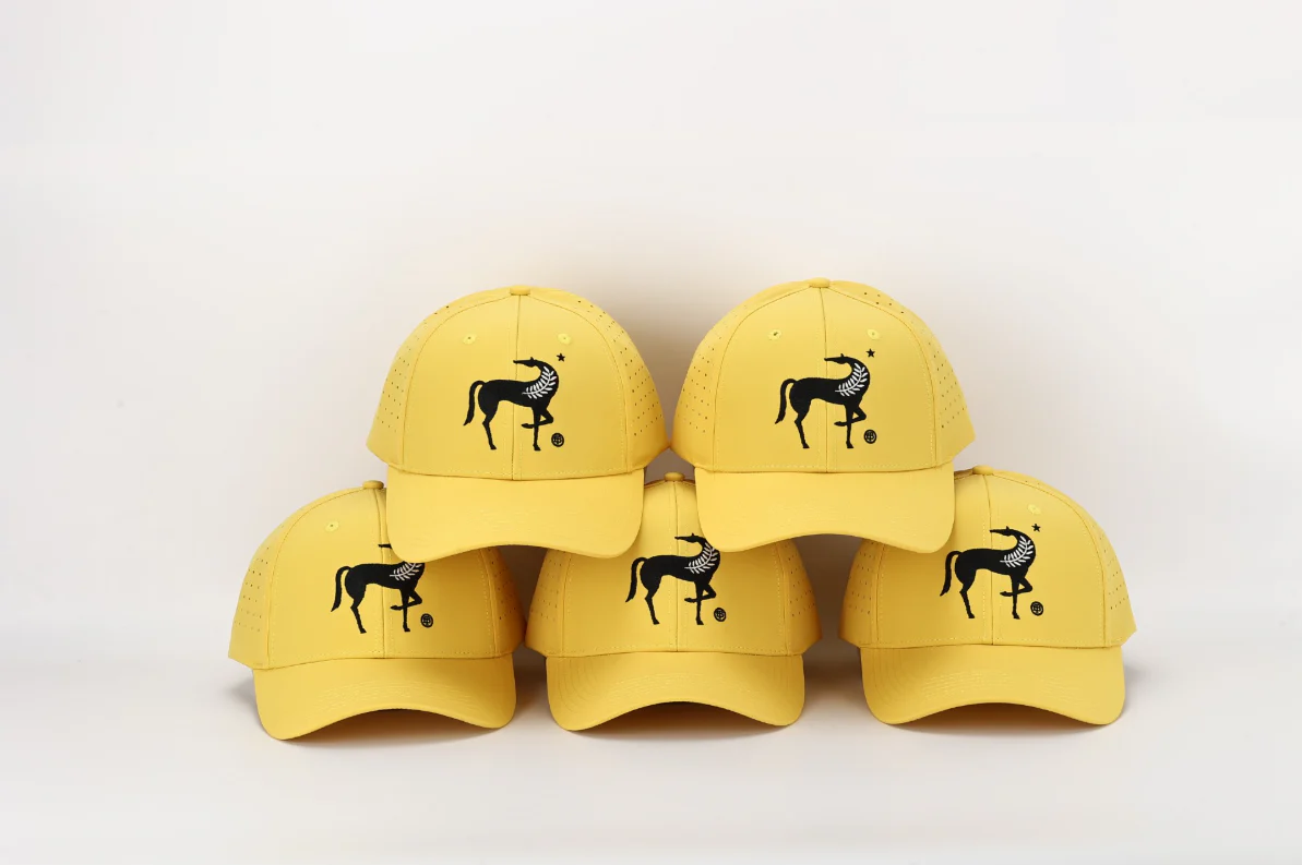 Terra Delyssa Logo Hat - Image 3