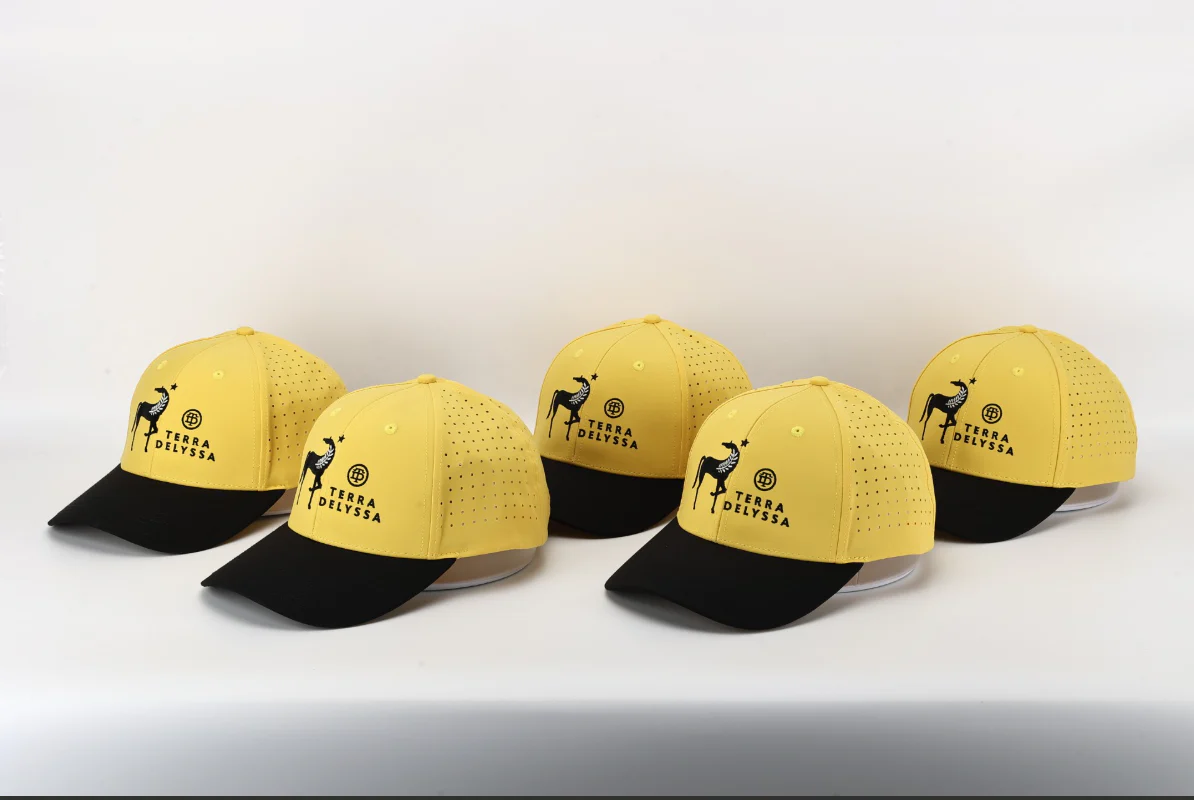 Terra Delyssa Logo Hat - Image 4