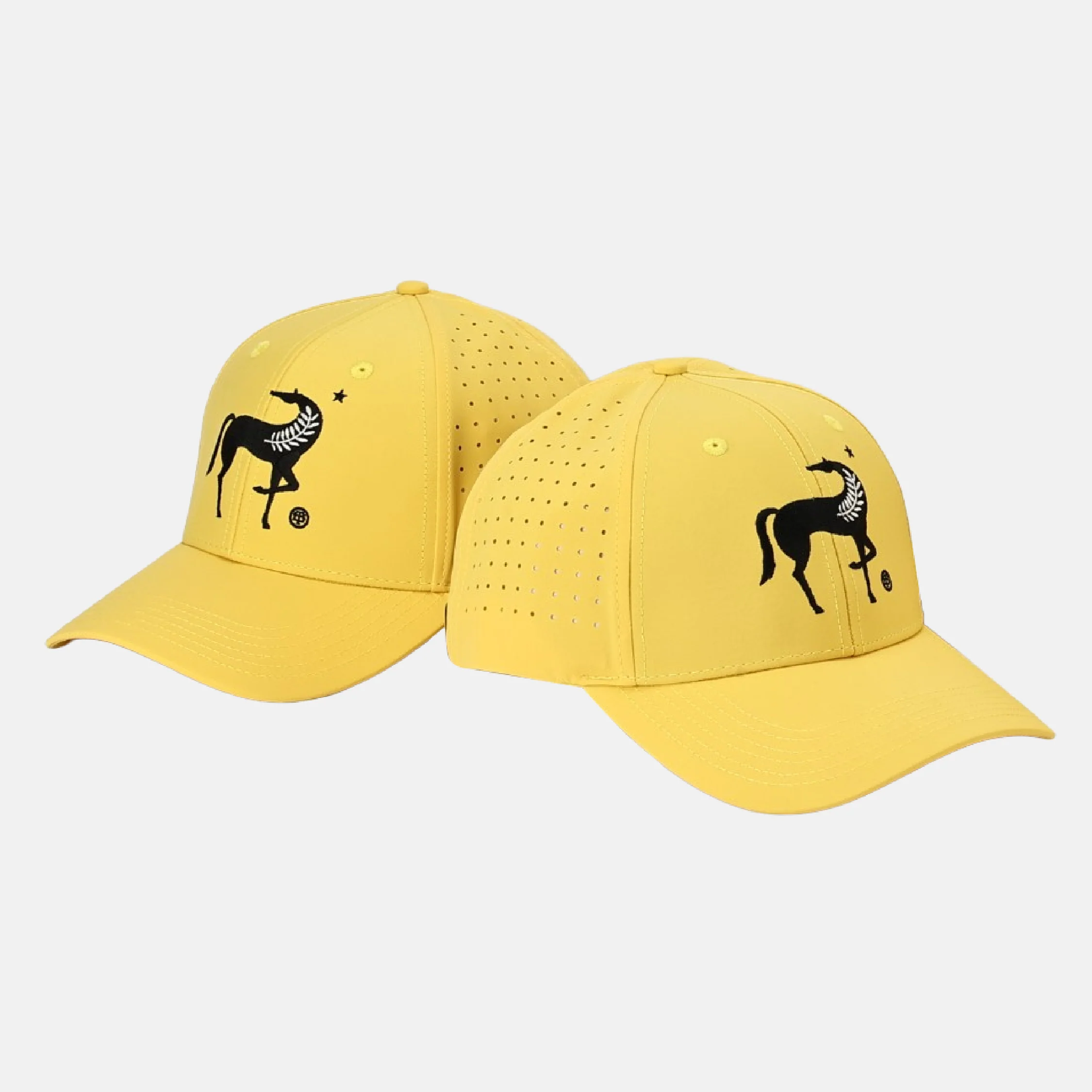 Terra Delyssa Logo Hat - Image 6