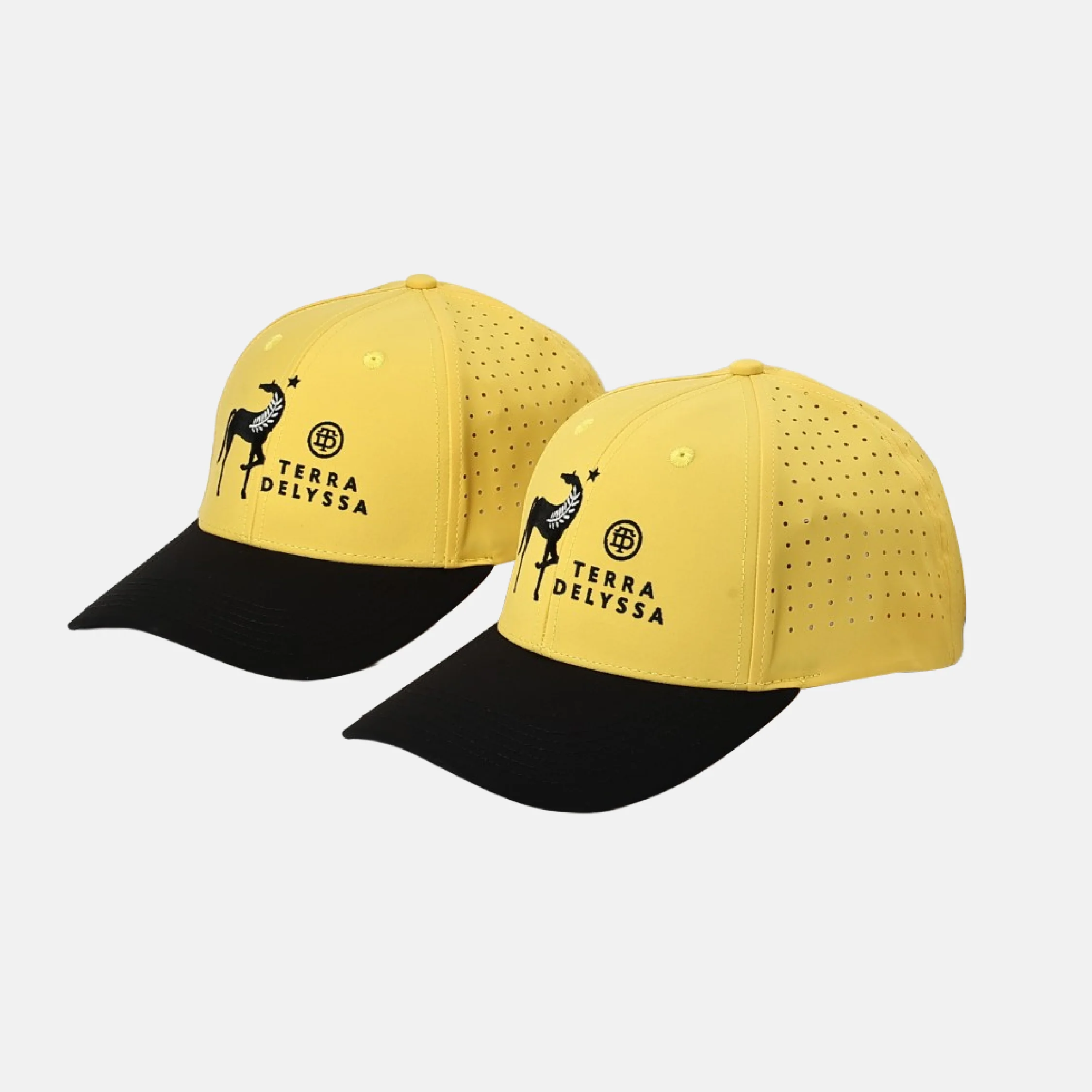 Terra Delyssa Logo Hat - Image 7